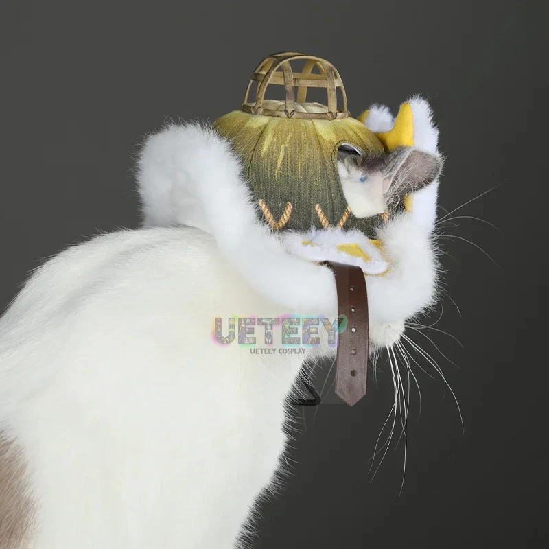 UETEEY Cos Athos Monster Hunte - Anime Cosplay Long Hair recensie en prijs